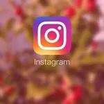 Boost Your Instagram Profile with Follower Instagram Gratis