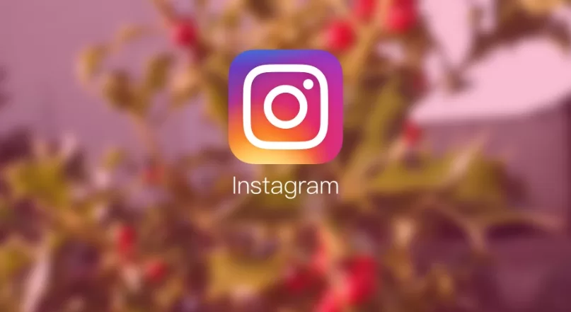Boost Your Instagram Profile with Follower Instagram Gratis