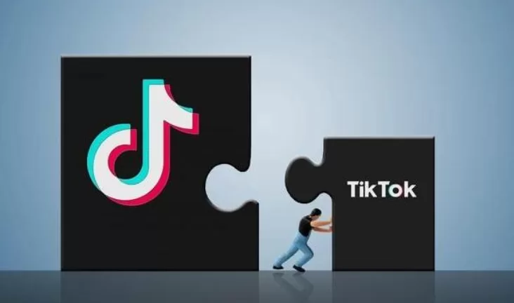 Stai cercando di aumentare i tuoi follower su TikTok